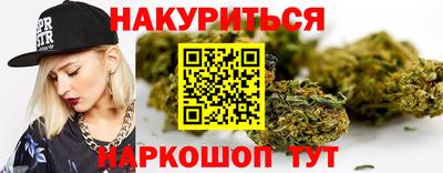 индика Заволжье