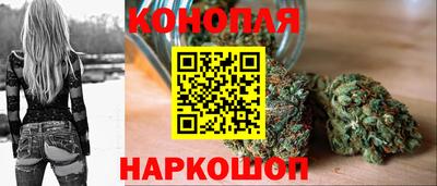 молекула духа Донской